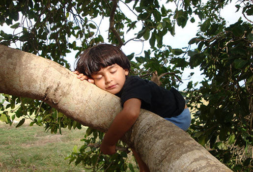 Preparing Children to be the Earth Warriors of Tomorrow