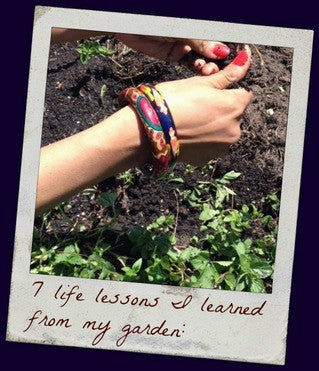 7 Life Lessons From my Garden