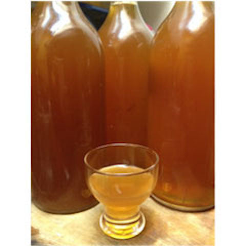 Kombucha: Elixir of Life