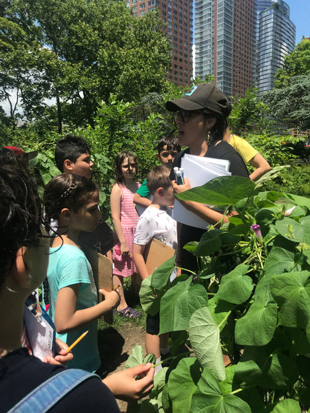 Workshops for Kids - Nelum Botanics