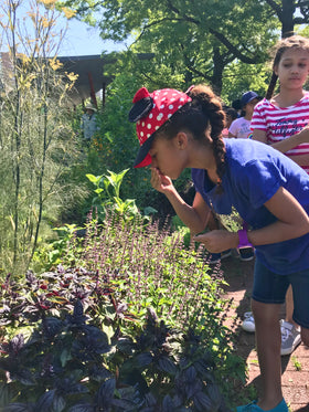 Workshops for Kids - Nelum Botanics