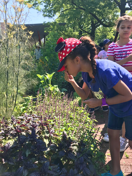 Workshops for Kids - Nelum Botanics